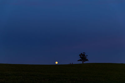 Scenic view of field against clear sky at night