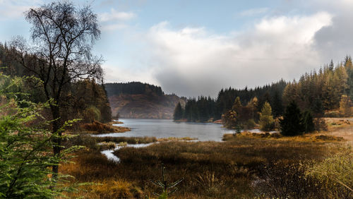 Scottish autumn landdcape