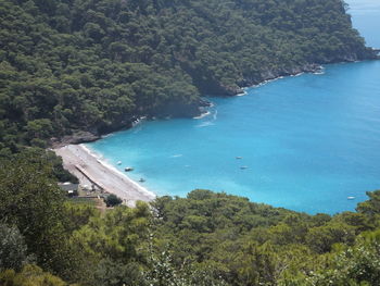 High angle view of sea and trees in forest