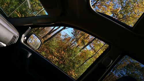 Close-up of car windshield