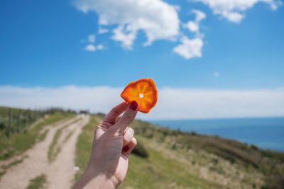 Cropped hand of woman holding dried orange fruit on hill by sea against sky