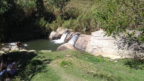 High angle view of river amidst trees