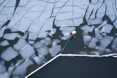 High angle view of frozen plants