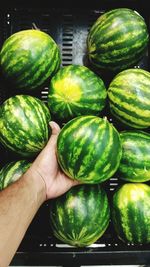 Close-up of man holding fruits at market