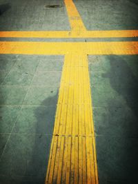 Close-up of yellow flowers