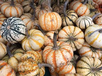 Full frame shot of pumpkins in market