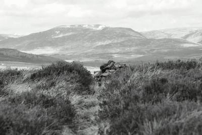 Scenic view of field against mountains
