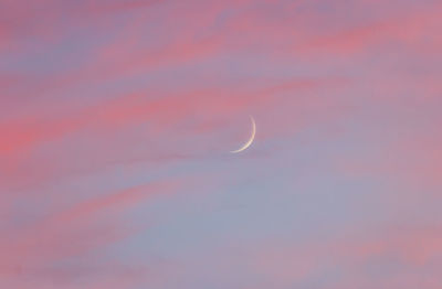 Low angle view of moon at sunset