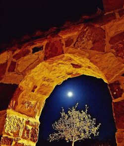 Low angle view of illuminated tree against sky at night