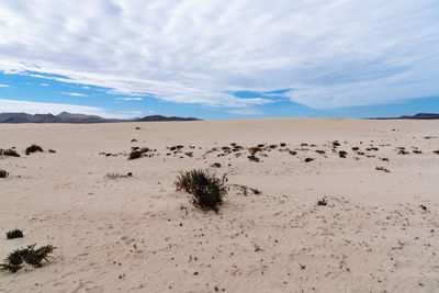 Scenic view of desert against sky