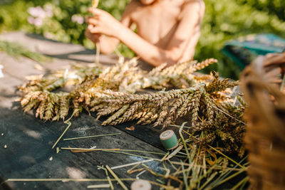 Midsection of man sitting by table with plants