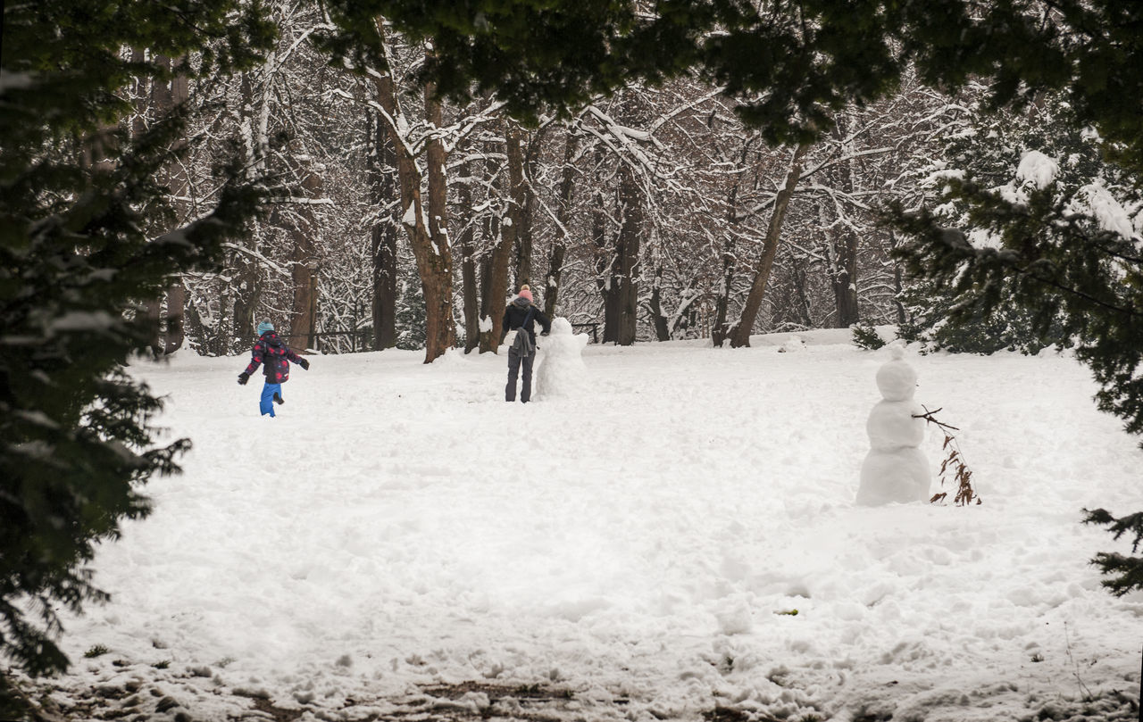 REAR VIEW OF PEOPLE ON SNOW COVERED FIELD