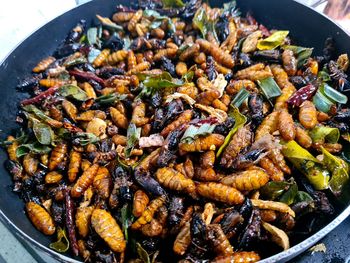 High angle view of food in plate