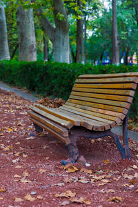 Close-up of bench in park during autumn