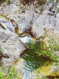 High angle view of rock formation in forest