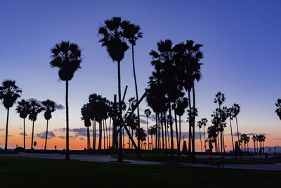 Silhouette palm trees on beach against sky during sunset