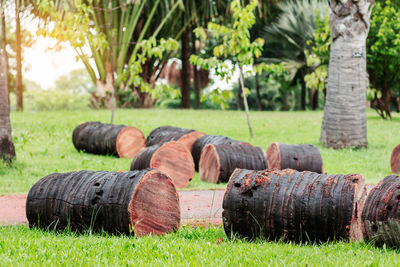 Stack of hay on field