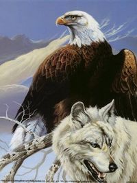 animal themes