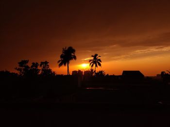 Silhouette palm trees against sky during sunset