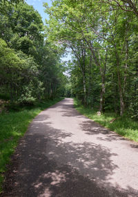 Road amidst trees in forest