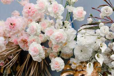 Close-up of pink flowers