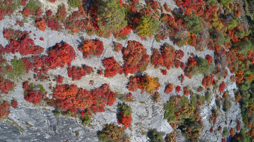 Full frame shot of multi colored wall