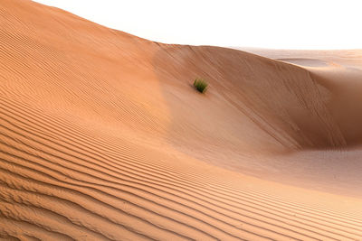 Scenic view of sand dunes in desert