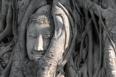 Close-up of buddha statue