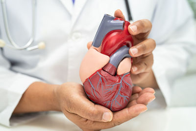 Midsection of doctor examining patient in hospital