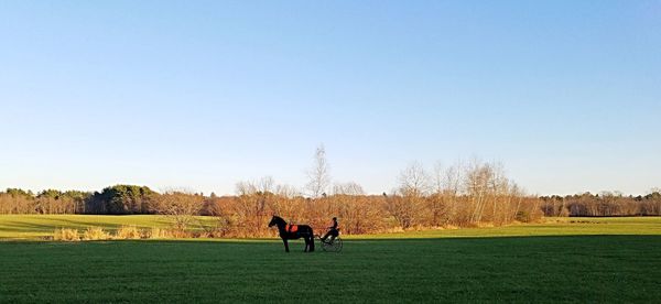 Panoramic view of man riding on horse cart on ranch