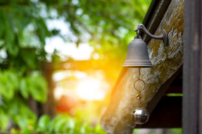 Low angle view of electric lamp hanging in yard