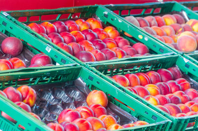 Various fruits on display at store