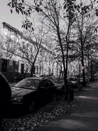 Cars parked on road