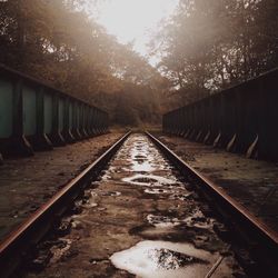 Railroad tracks