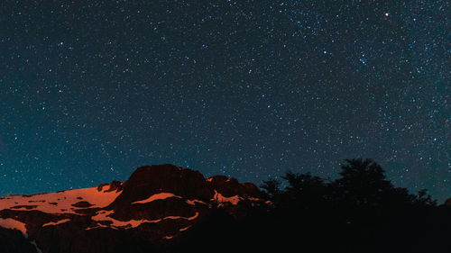 Low angle view of silhouette tree against sky at night