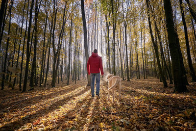 Rear view of woman walking in forest