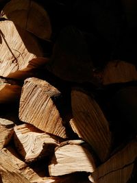 Stack of logs in forest