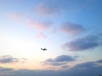 Low angle view of airplane flying against sky