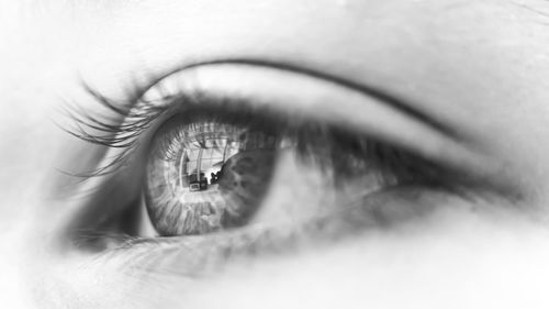 Close-up of human eye