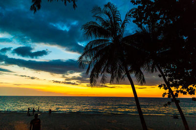 Silhouette palm trees on beach against sky during sunset