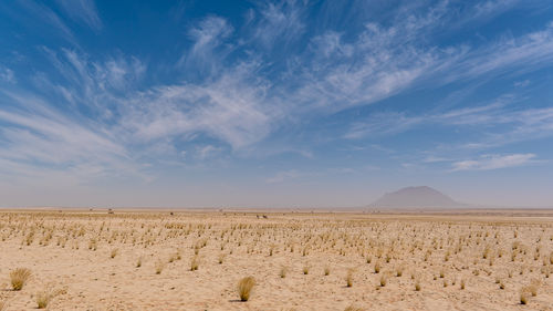 Scenic view of desert against sky
