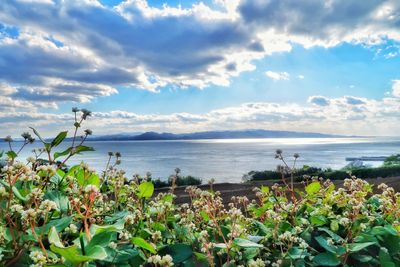 Scenic view of sea against sky