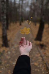 Cropped image of hand with dry maple leaf at forest