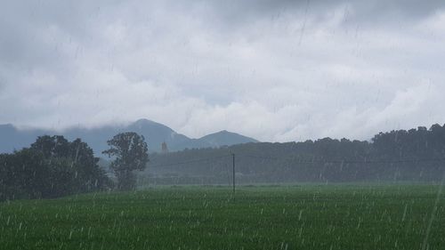 Scenic view of field against sky