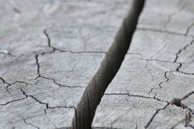 Close-up of cracked ground