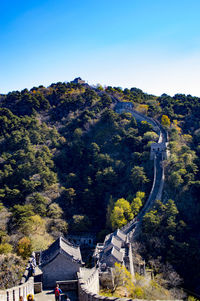 High angle view of trees and cityscape against clear blue sky