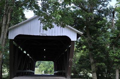 Low angle view of bridge amidst trees and plants in forest