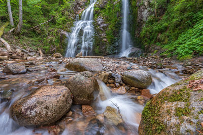 Scenic view of waterfall in forest