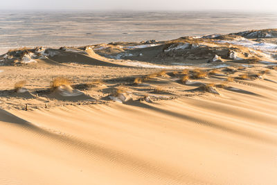 Scenic view of desert