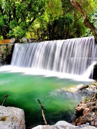 Scenic view of waterfall in forest